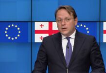 2024 წელი საქართველოსთვის გადამწყვეტი იქნება, სავარაუდოდ, არ მოიკლებს გეოპოლიტიკური გამოწვევები – ვარჰეი