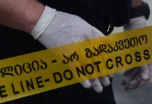 პოლონეთის პროკურატურის ცნობით, დის მკვლელობაში ბრალდებული ქართველი კაცი საქართველოში იმყოფება