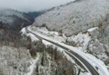 მეწყრის ჩამოწოლის გამო რიკოთზე არსებული შეზღუდვები მოხსნილია