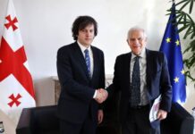 ბრიუსელში საქართველოსა და EU-ს ასოცირების საბჭოს სხდომა მიმდინარეობს – კობახიძე ბორელს შეხვდა