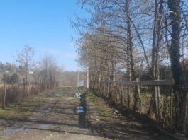 ზუგდიდში ჩიტაიას ქუჩის მოსახლეობა დახმარებას ითხოვს