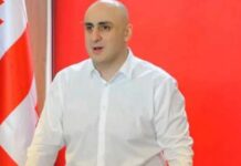 მიუღებელი პარტიები ჩემთვის არ არსებობს იქ, სადაც დგას ქვეყნის ინტერესი- მელია პრეზიდენტს ხვდება