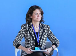 ხვალ პარლამენტში რობინ დანიგანს მოუსმენენ