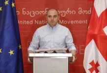 ევროკავშირის საელჩოში EU-ს წევრი ქვეყნის ელჩები ენმ-ის ლიდერებს შეხვდნენ