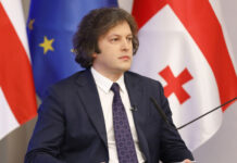 აშშ-სთან პარტნიორობაში წლების მანძილზე გვქონდა გარკვეული სისუსტე – კობახიძე