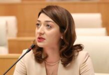 საქართველოში ბავშვები დასაცავები არიან შიმშილისგან, გაჭირვებისგან, პედოფილებისგან… – ანა ბუჩუკური