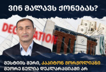 მესტიის მერი მეორე წელია დეკლარაციაში არ უთითებს ხელფასსა და 7 უძრავ ქონებას – TI
