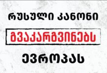 ძიძების ასოციაცია რუსულ კანონზე: ჩვენნაირი ორგანიზაციებისთვის დაცინვაა, თვალში ნაცრის შეყრაა