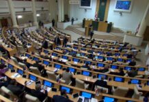 შს მინისტრის ინტერპელაციით მოსმენის დროს, სალომე სამადაშვილი დარბაზიდან გააძევეს