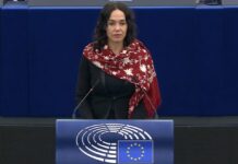 დაასანქცირეთ ივანიშვილი – ლექსმანი ბორელს და მიშელს