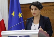 მეზვრიშვილი – თუ ვინმე ომში მიათრევს ქვეყანას დღეს, ეს არის “ოცნება”