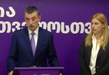 თეონა აქუბარდია წინასაარჩევნოდ გიორგი გახარიას პარტიას შეუერთდა
