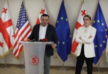 ხატია დეკანოიძე ნაციონალური მოძრაობის ეროვნული კომიტეტის თავმჯდომარის მოადგილედ დაინიშნა