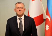მთავრობამ აზერბაიჯანში საქართველოს ელჩი ზურაბ პატარიძე გაათავისუფლა