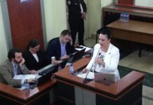 არ არსებობს არავინ, ვისაც შეიძლება ზიანი მიადგეს თუ ამ აქტს შეაჩერებთ, უბრალოდ ვიღაცებს შეიძლება ნერვები აეშალოთ – ბესელია საკონსტიტუციოს