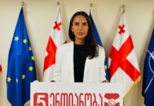 ქვეყანაში ჯანდაცვის სისტემა მოშლილია და ახლა „ქართული ოცნება“ მას სრული ფინანსური კრიზისით ემუქრება – სოფო ჯაფარიძე