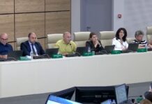 დანაშაულისთვის ემზადებით და გალავანი ამისთვის გჭირდებათ, – ცესკოში ენმ-ს წარმომადგენელი