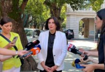 “მოწვეული გვყავს სპეციალისტი, რომელიც მეცნიერულად აუხსნის დეპუტატებს, რომ “უცხო” ნიშნავს “უცხოს”, – კორძაია