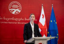 ენმ-ის ეროვნულ კომიტეტს კობა ნაყოფია უხელმძღვანელებს – ცვლილება დღეს, ყრილობაზე დამტკიცდება