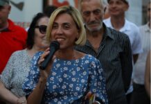 “ის ადამიანებიც კი, რომლებიც აქ, ბოლო არჩევნებზე მხარს უჭერდნენ “ქართულ ოცნებას”, არიან რადიკლურად შეცვლილები…” – ანა წითლიძე
