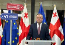 ყვარელში, მიხეილ სააკაშვილის სახლში თინა ბოკუჩავა კოალიციის ხუთ პრიორიტეტს წარადგენს