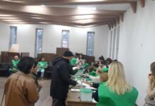 ცესკო- 12:00 საათისთვის აქტივობა 22.22%-ია