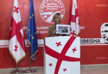 “მთელი სახელმწიფო სისტემაა ჩართული პირადობის მოწმობების ამოღებაში” – ანა წითლიძე კონკრეტულ გვარებს ასახელებს