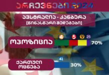 წინასწარი შედეგებით, ავსტრალიის დედაქალაქში პროევროპულმა ოპოზიციამ ხმების 70%, ხოლო “ოცნებამ” – 30% მიიღო