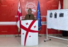 გვაქვს აუდიოჩანაწერები, რომ ოცნების მაღალჩინოსნები მოქალაქეებისთვის პირადობის მოწმობების ჩამორთმევას ცდილობენ – წითლიძე გვარებს ასახელებს