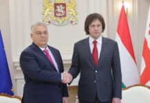 ორბანის საქართველოში ვიზიტის კრიტიკის გამო, უნგრეთმა შვედეთის ელჩი საგარეო უწყებაში გამოიძახა