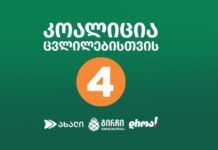 “არ მივიღებთ საბიუჯეტო დაფინანსებას და სხვა საპარლამენტო პრივილეგიებს”