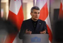 “სამშობლოს სიყვარულს დიპლომი არ სჭირდება”- მდინარაძე