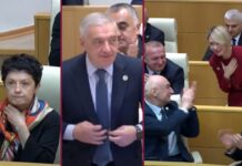 ვოლსკი, წულუკიანი, წილოსანი – “ოცნების” თვითგამოცხადებული პარლამენტის თავმჯდომარის მოადგილეები
