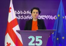 ცესკო მტკიცებულებების განადგურებას ცდილობს -ნათია მეზვრიშვილი