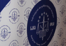 “სააპელაციო საჩივარს არჩევნების შედეგების ბათილად ცნობაზე ამჯერადაც ზეპირი მოსმენის გარეშე განიხილავს” – საია