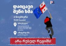 დაიცავი შენი ხმა! – ემიგრანტებმა ევროპისა და ამერიკის ქალაქებში აქციები დააანონსეს
