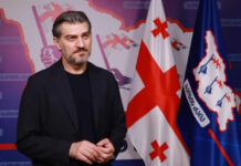 პარლამენტში ყაველაშვილის განათლების დამადასტურებელი დოკუმენტაცია არ ინახება