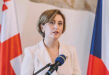 ჩეხეთში საქართველოს ელჩმა, თეა მაისურაძემ თანამდებობა დატოვა