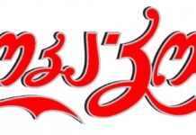 “კოკა-კოლა” საახალწლო ქარავანს აუქმებს