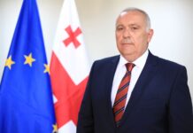სამეგრელო-ზემო სვანეთში სახელმწიფო რწმუნებულად დავით ვერავა დაინიშნა