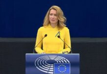 საქართველოსთან დაკავშირებით ვიმსჯელებთ სანქციებსა და სავიზო შეზღუდვებზე – კაია კალასი