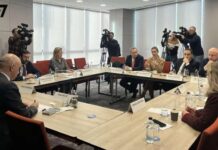 ევროპის საბჭოს გენერალური მდივანი პროდასავლურ ოპოზიციას ხვდება