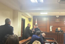 ელისაშვილს პატიმრობა 5 000 ლარიანი გირაოთი შეუცვალეს და გაათავისუფლეს