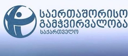 “ამ დროისთვის, დაუზუსტებელი მონაცემებით, საჯარო სამსახურიდან დაახლოებით 400 პირია გათავისუფლებული” – TI