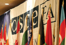 OSCE PA-ს სამი კომიტეტის გაერთიანებულ სხდომაზე საქართველოს საკითხზე იმსჯელეს