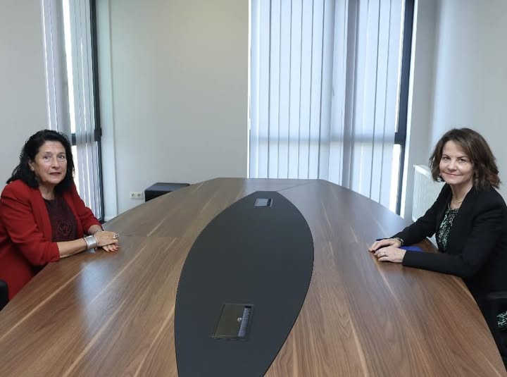 პრეზიდენტი სალომე ზურაბიშვილი აშშ-ის ელჩს, რობინ დანიგანს შეხვდა