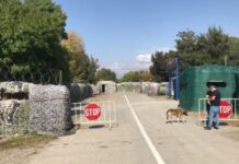 ოკუპანტებმა ერგნეთისა და სვერის მიმდებარე ტერიტორიებიდან საქართველოს მოქალაქეები გაიტაცეს