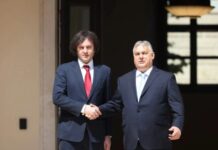 ყველა უნდა ადიდებდეს გამორჩეულ პრემიერმინისტრ ვიქტორ ორბანს მამაცობისთვის-კობახიძე