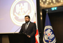 “დანოსები” და “დასმენები” კანონის სახელით – მესამე სექტორი