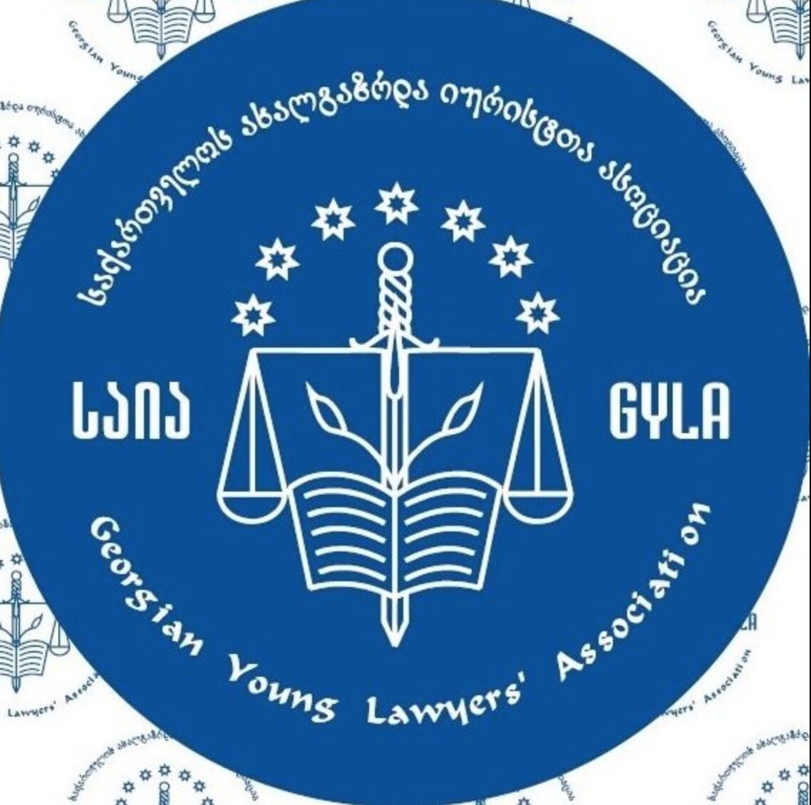 საია ოცნების საჩივრებზე- ეწინააღმდეგება კონსტიტუციით დაცულ მედიის თავისუფლებას